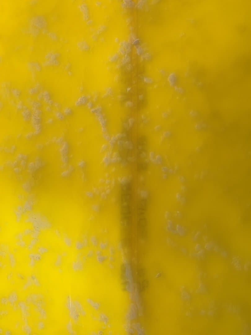 発送不可　CHANNEL S トムカレン　シングルフィン