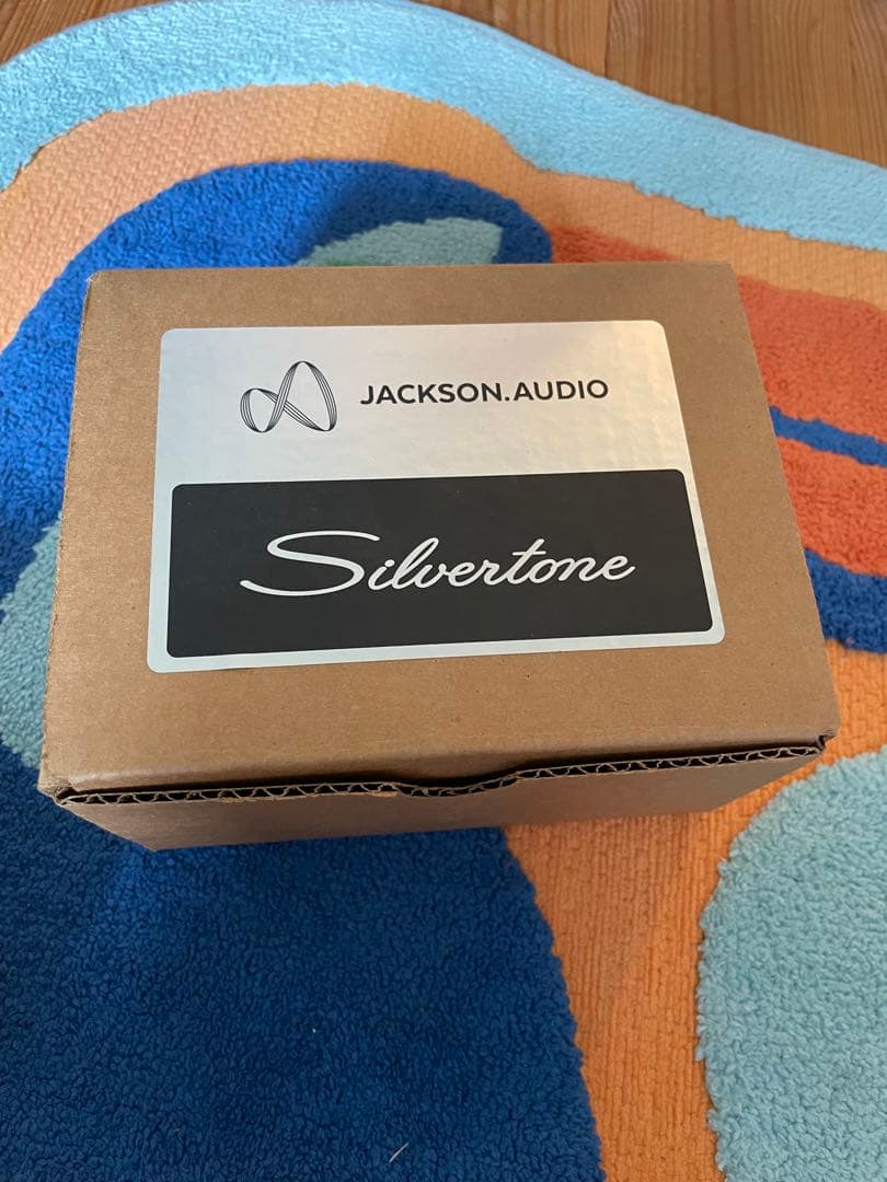 ギター Silvertone twin twelve Jackson audio