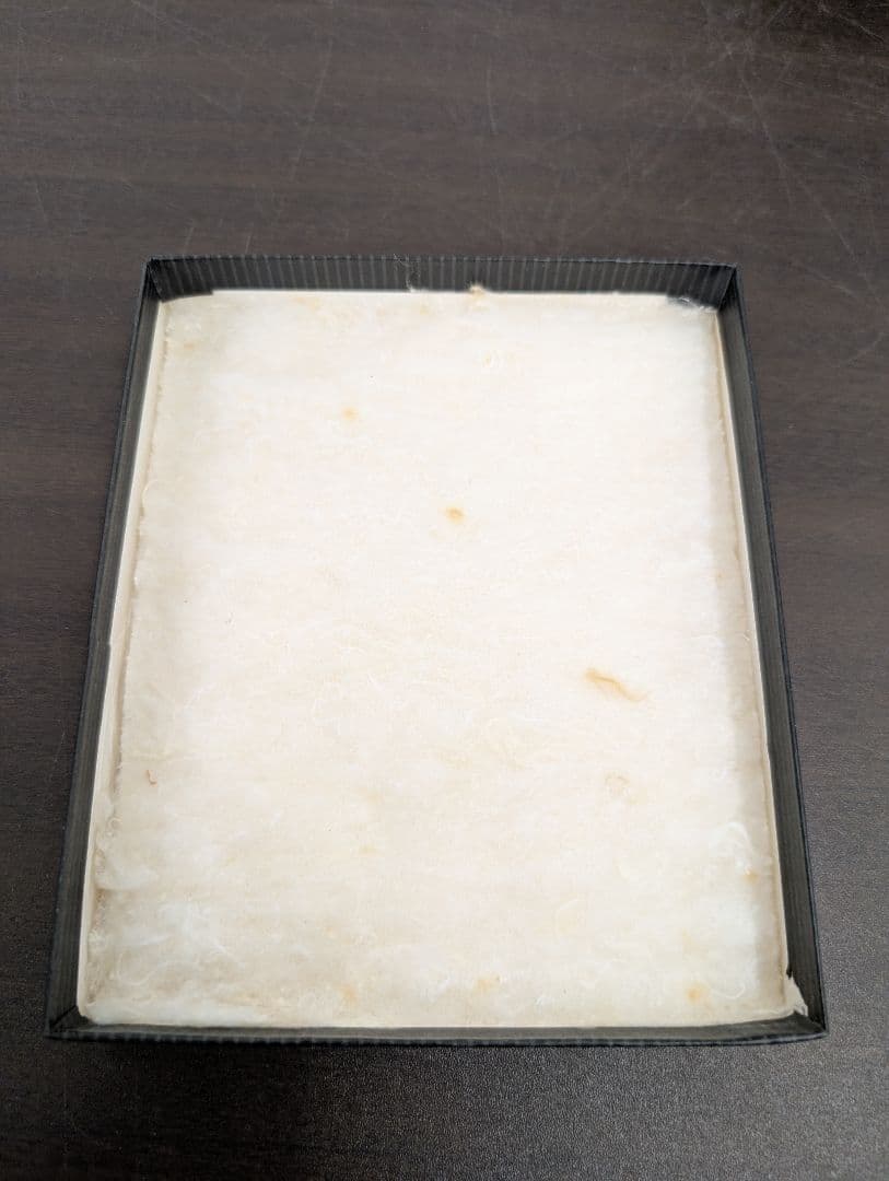 NO music FEST1VAL 6枚組