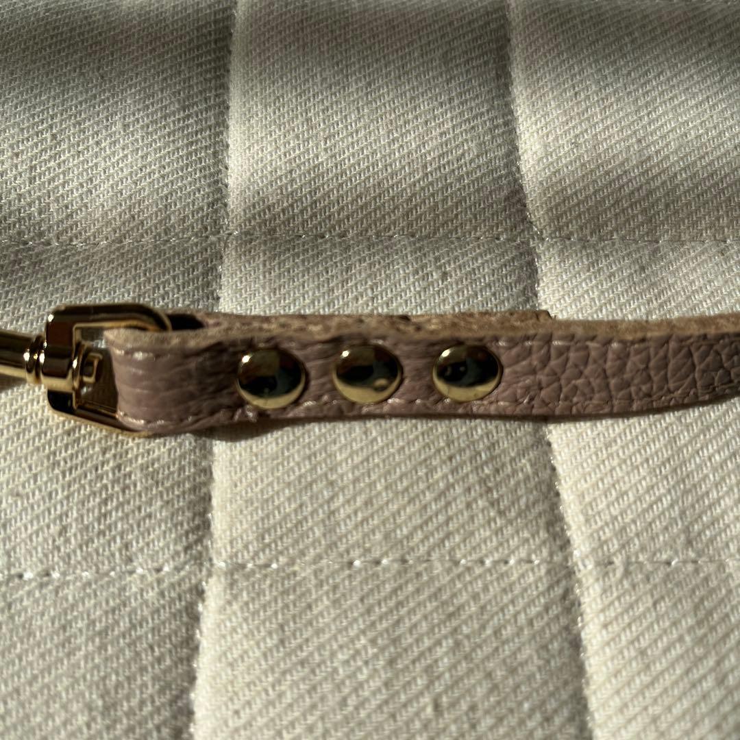 バディベルト3号 リード セット ラテ