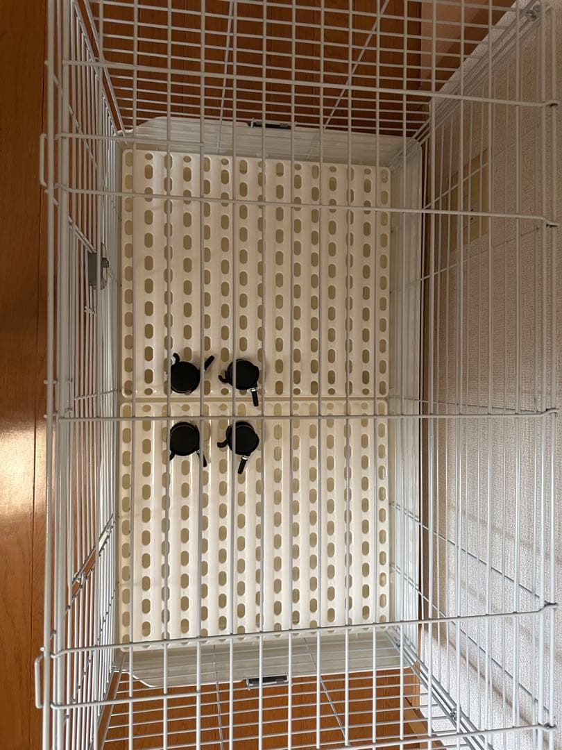 小動物　飼育ケージ