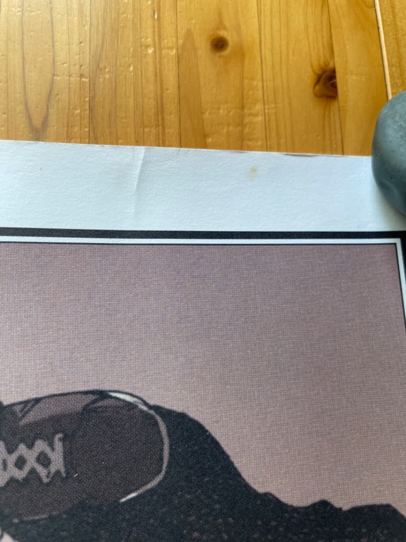 FREEDOM-フリーダム- B2サイズポスター2枚セット　大友克洋　AKIRA