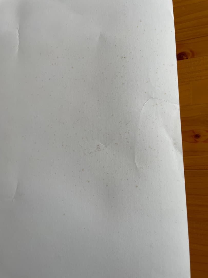 FREEDOM-フリーダム- B2サイズポスター2枚セット　大友克洋　AKIRA