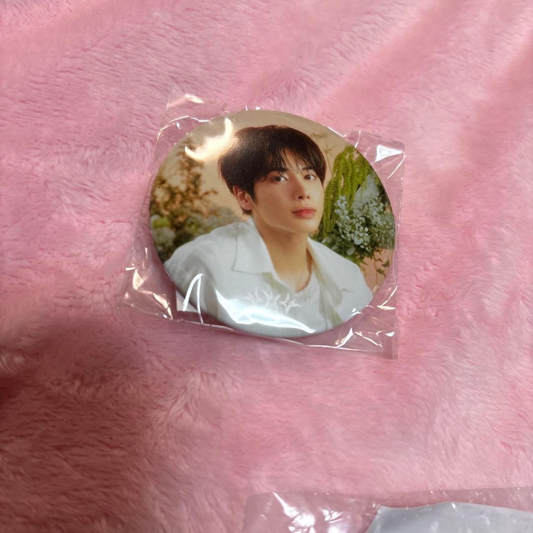 ダゴニャンヘアクリップピンバッジセット