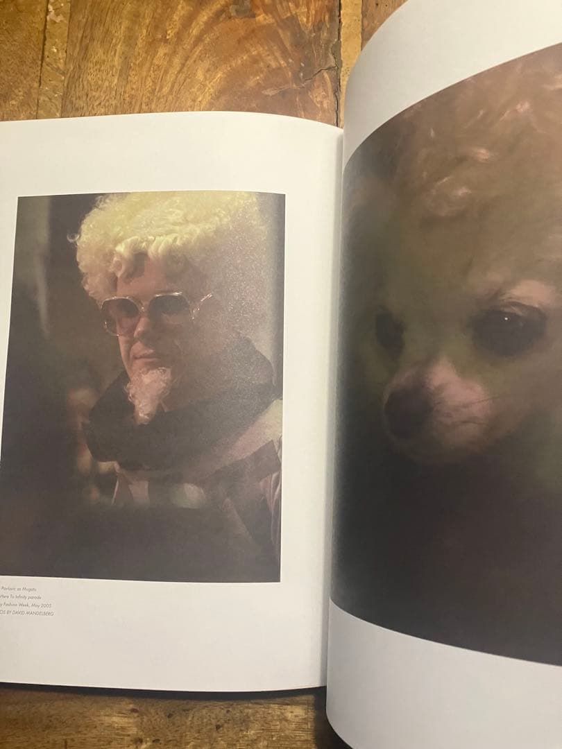 【希少】TSUBI BOOK 2000-2005 Ksubi アートブック　ツビ