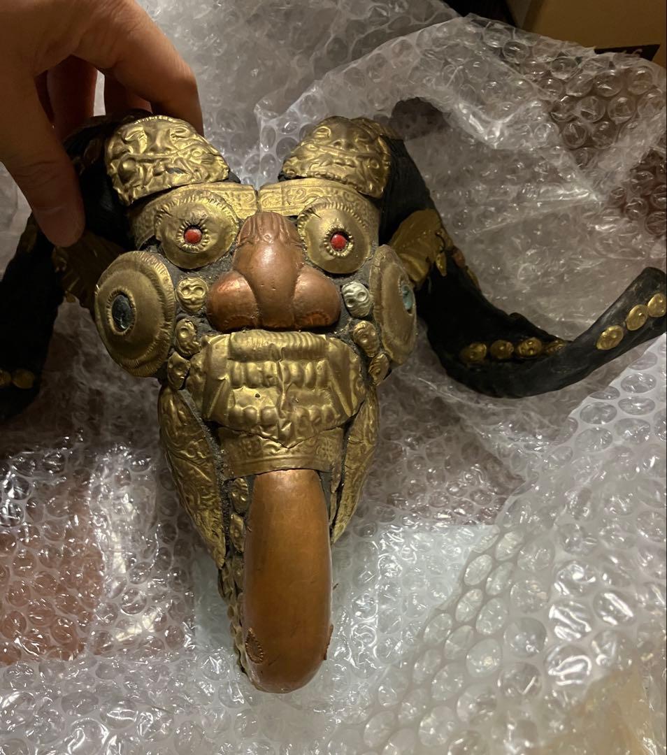 山羊　チベタンスカル　モンクスカル　チベット　法具　チベタンゴート　頭蓋骨