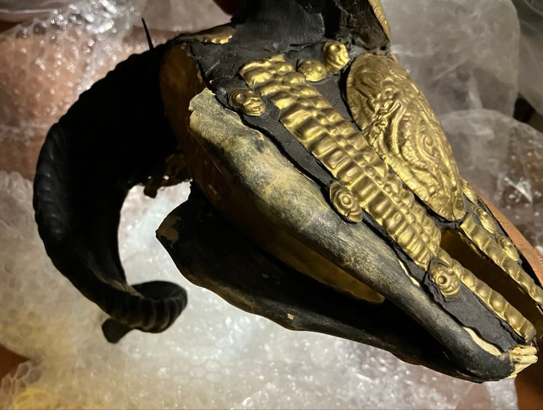 山羊　チベタンスカル　モンクスカル　チベット　法具　チベタンゴート　頭蓋骨