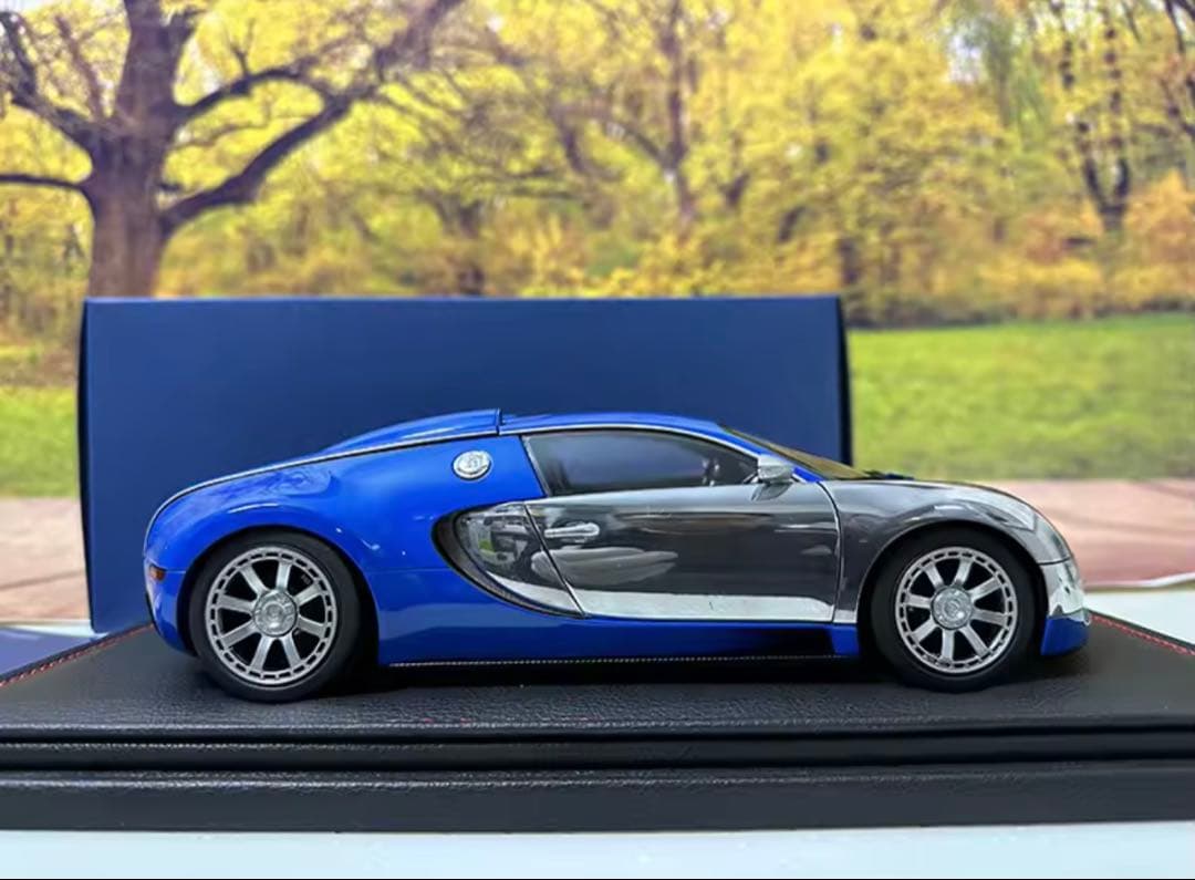 Bugatti Veyron 1/18スケルモデルミニカー