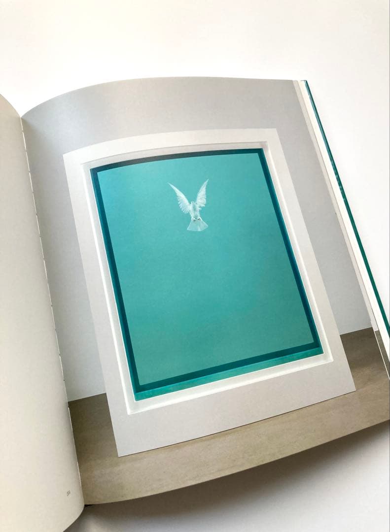 ダミアン・ハースト（Damien Hirst）「Relics（残存）」展図録