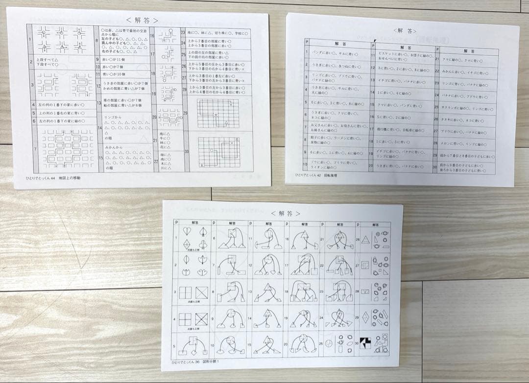 ピグマリオン能力育成問題集【44冊セット売り】
