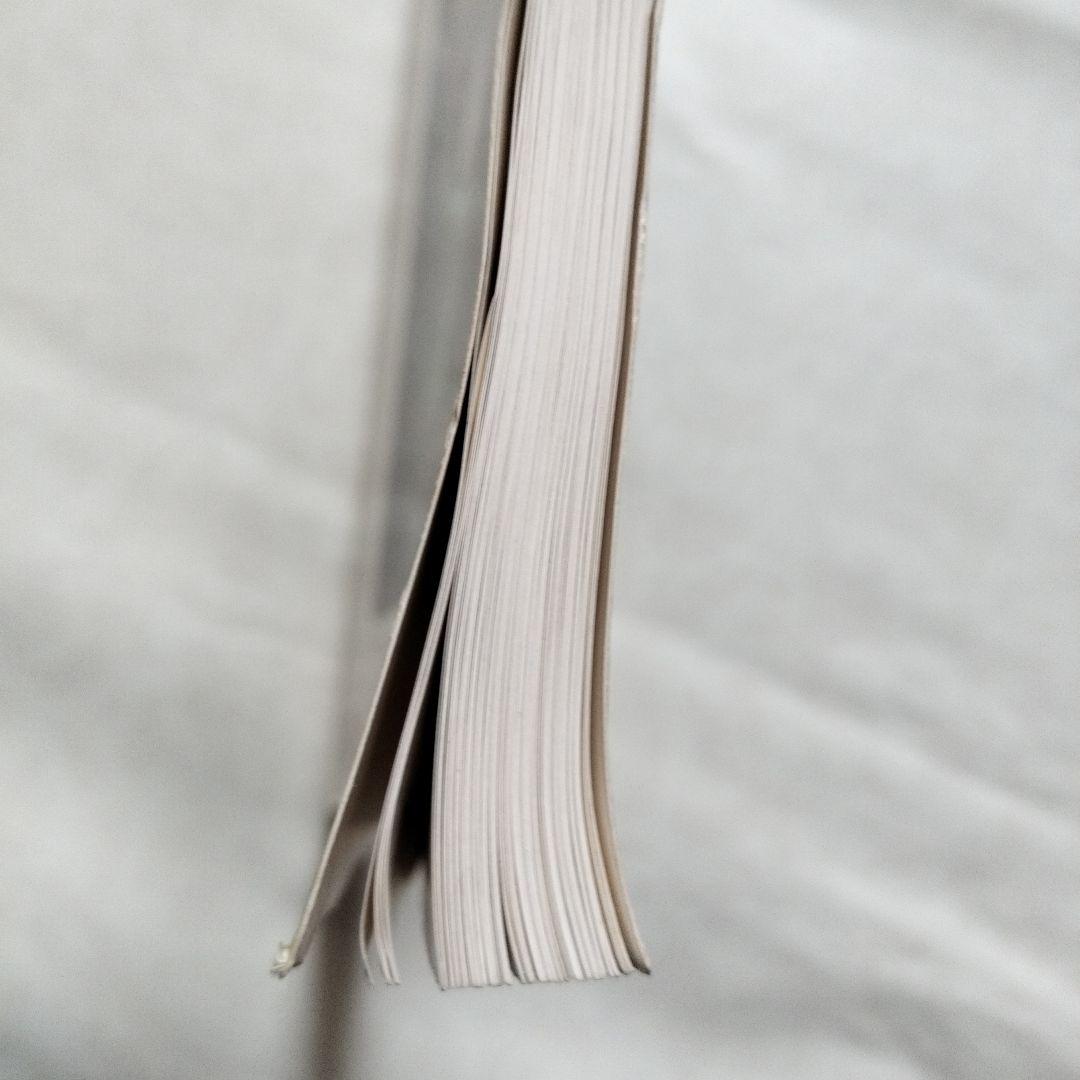 スタントンTHE ART OF STANTON MASTER OFBIZARRE