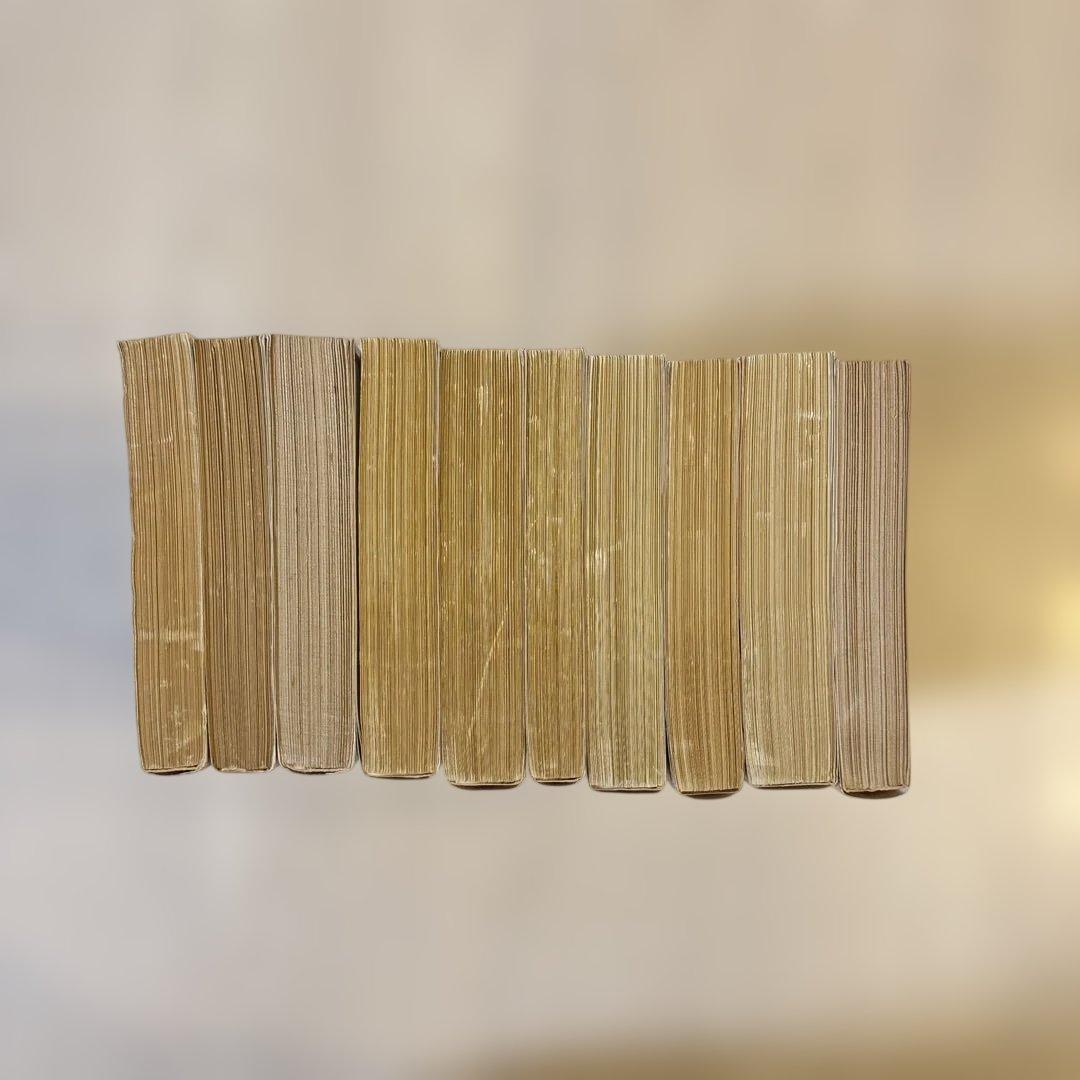 【完結セット】岩波文庫全10巻　南総里見八犬伝　小池藤五郎校訂