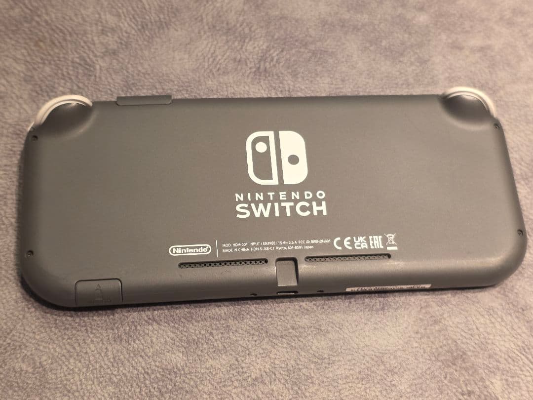 Switchライト グレー 2021