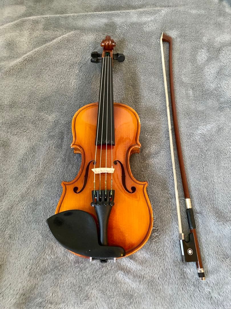 1/10分数バイオリン Hora Reghinルーマニア製 2016年
