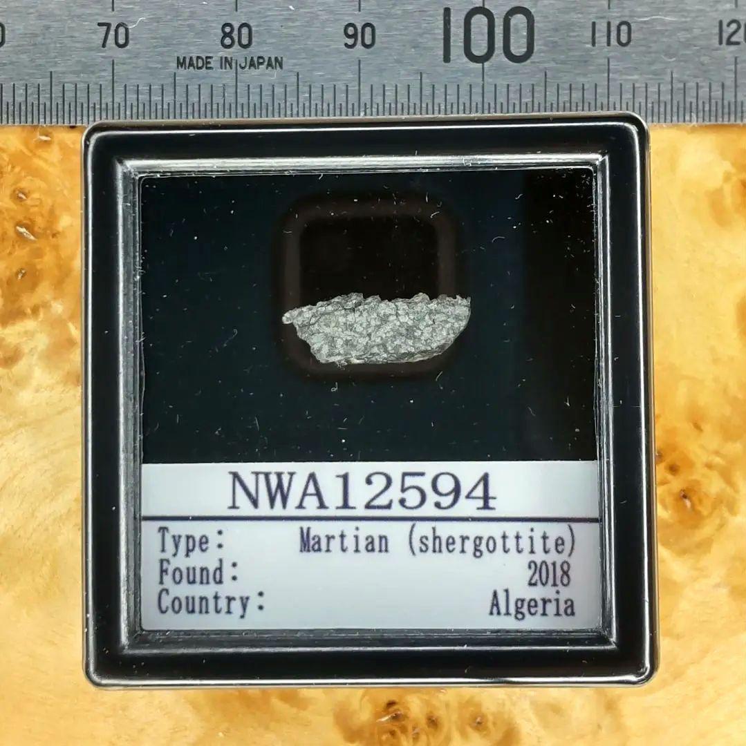 ✨火星の石！シャーッゴッタイト　 NWA 12594　隕石標本