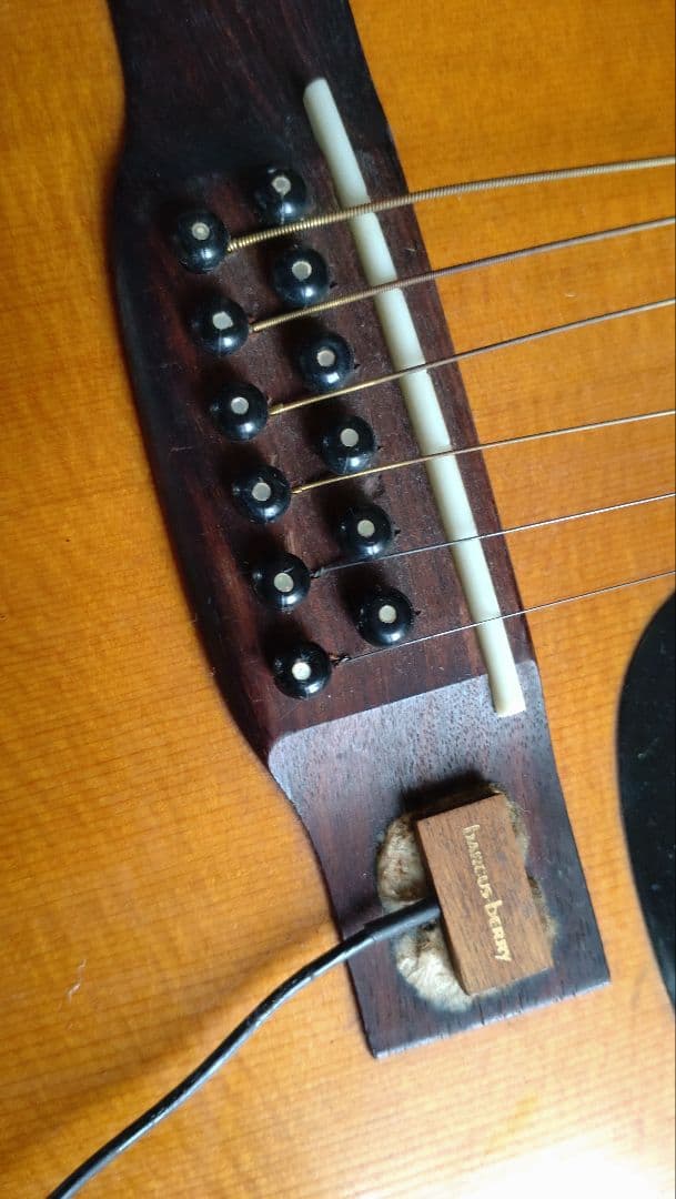 Vtg Jumbo12弦ギター J-40