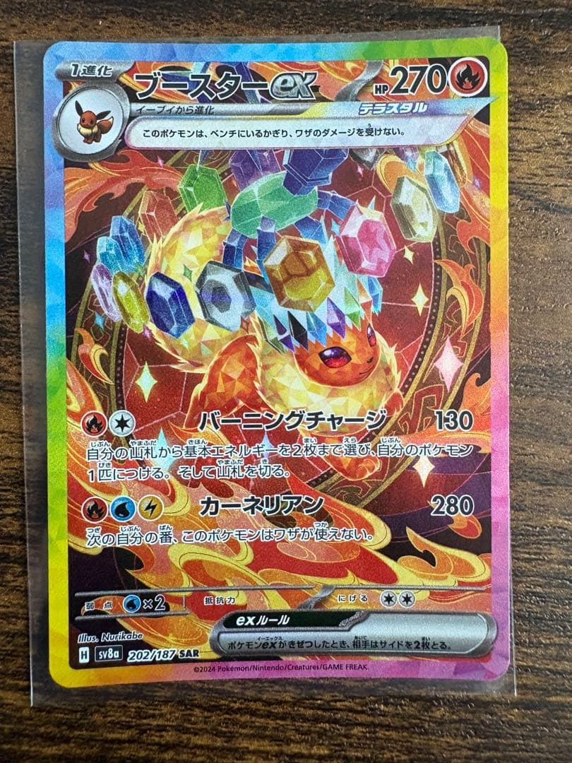 テラスタルフェスex ブイズ SAR まとめ売りセット