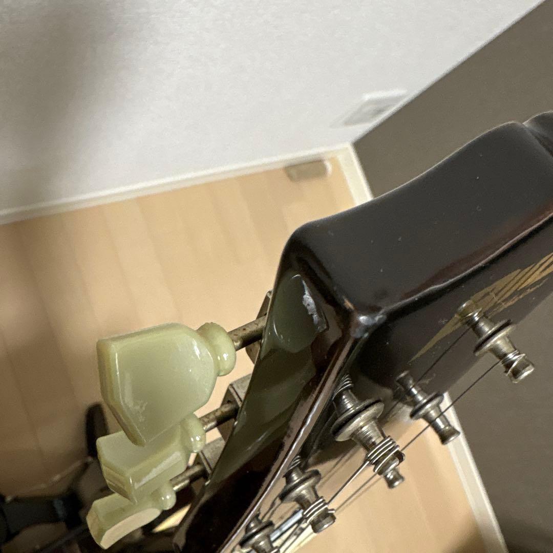 BLITZ leopard シースルーブラック