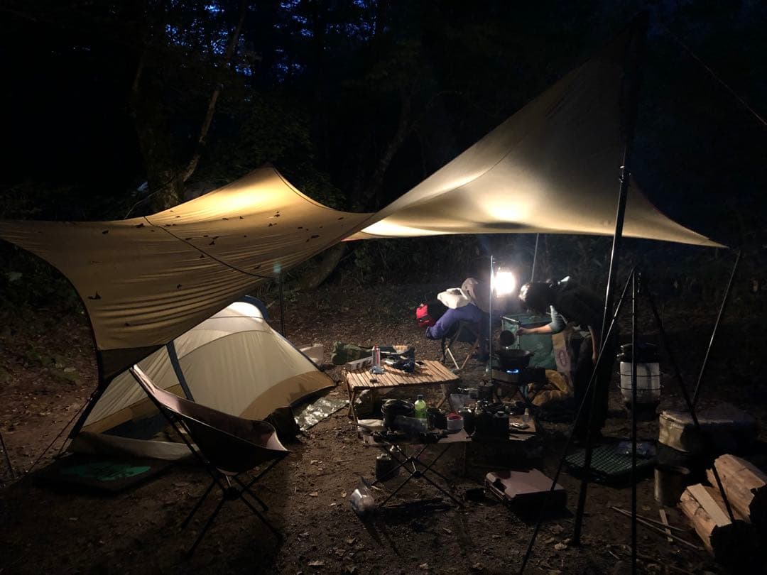 稀少美品⭐︎ Moss・Outfitter Wing（カムデン）