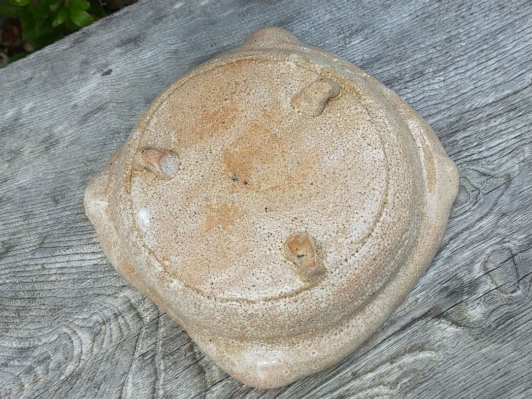 ♥美濃焼　絵志野　鉢　桐箱付き　志野　骨董品