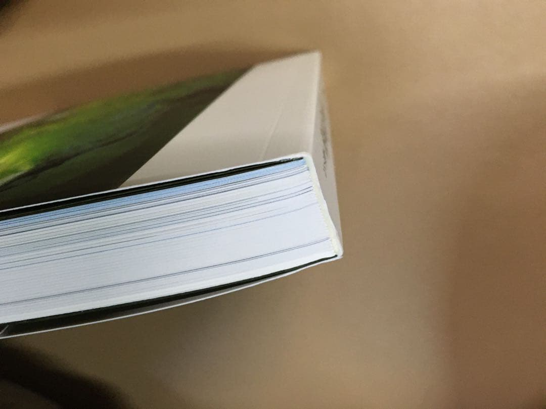 ★新品★ ジブリの絵職人　男鹿和雄展　図録