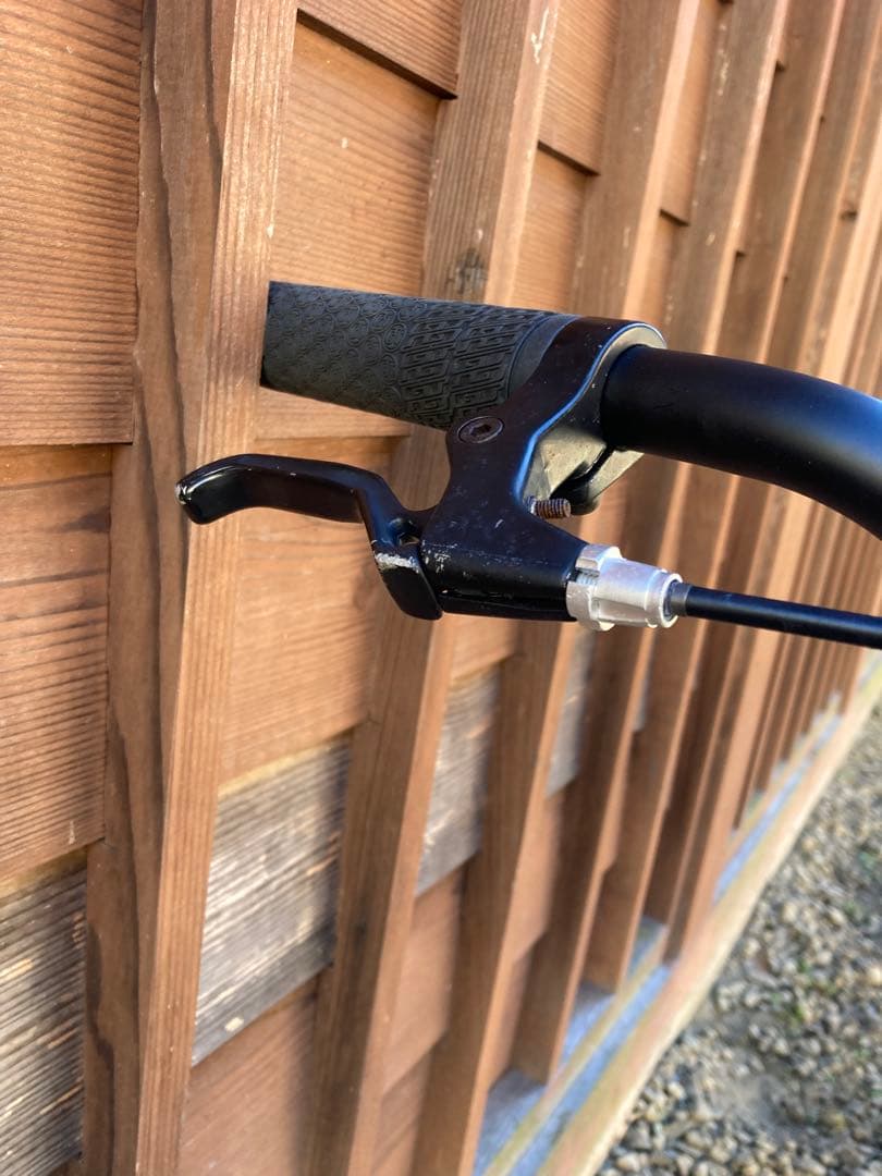 ggggagggg　中古GT BMX MACHONE JUNIOR20イン