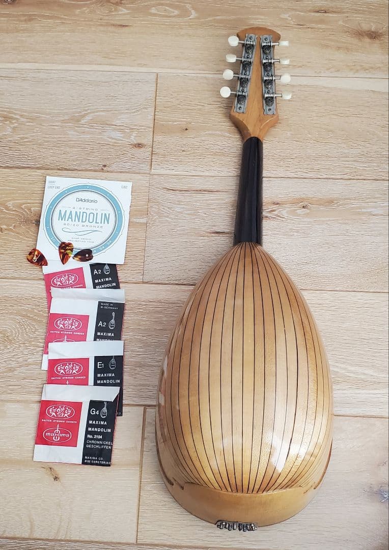 鈴木バイオリン ヴィンテージ マンドリン