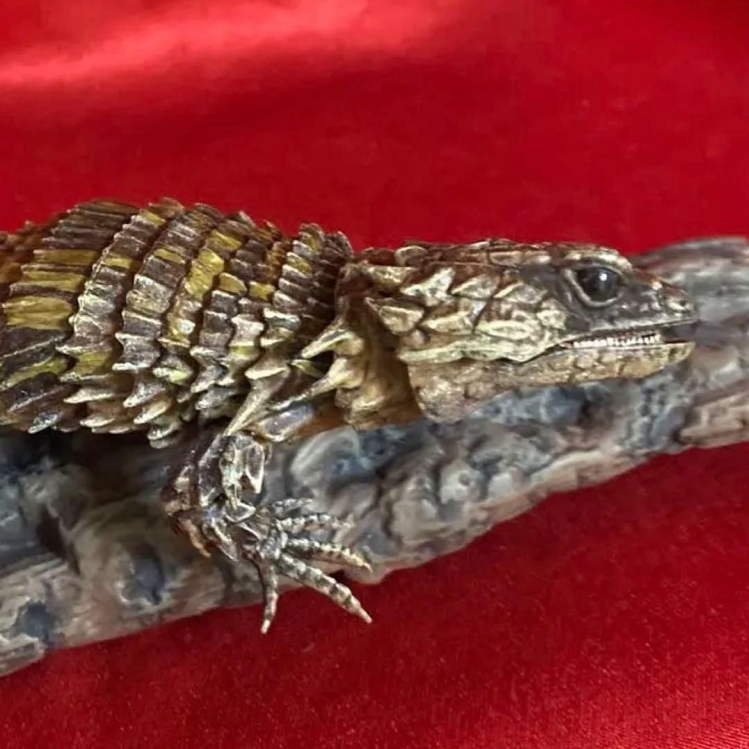 アルマジロトカゲ　リペイント品　だんごむし07 ガシャポンバンダイいきもの大図鑑