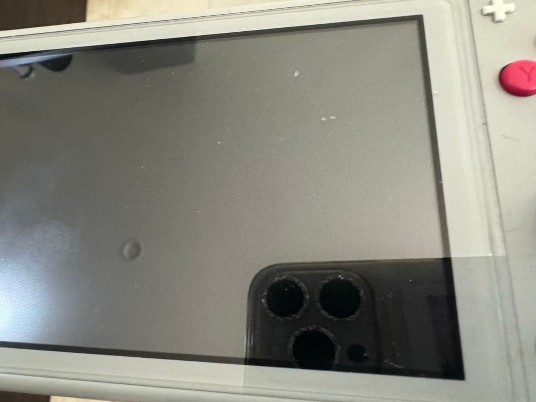 Nintendo Switch Lite グレー ポケモン ジャンク