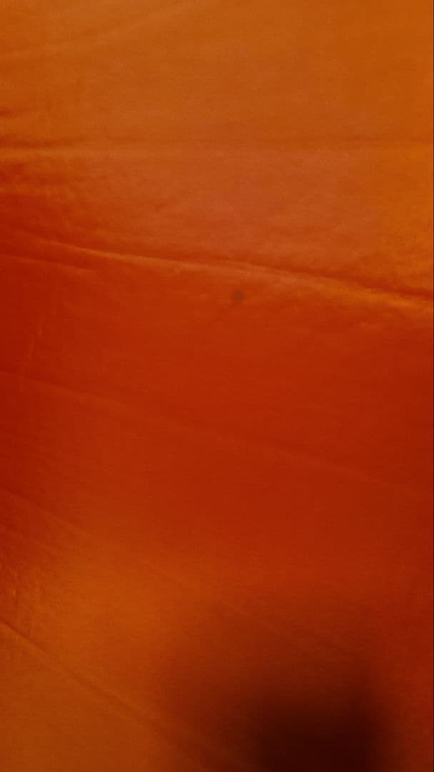 限定カラー Coleman コールマン スリーピングマット 赤 2枚セット