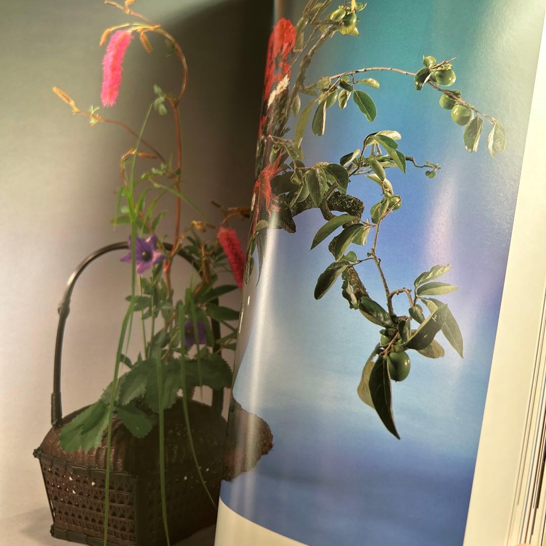 幻花巡歴 小原豊雲遺作集