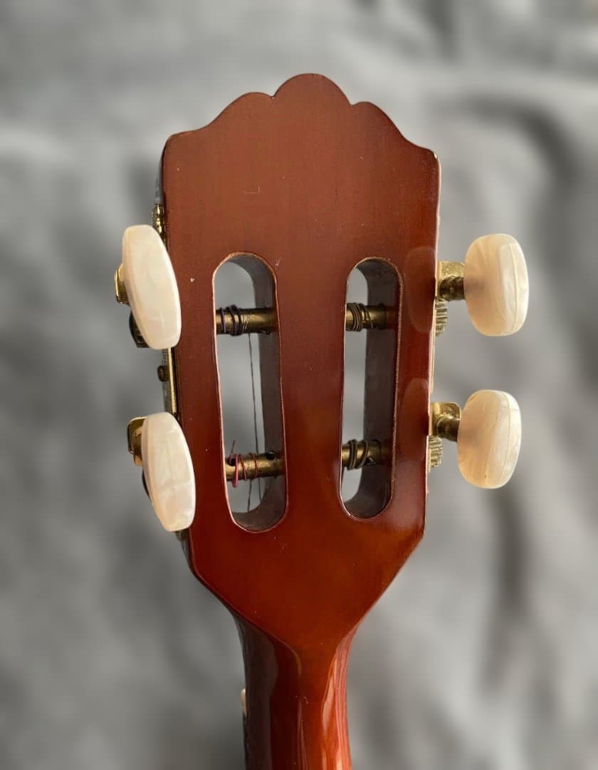 Terra Brasil Cavaquinho ピックアップ内蔵カヴァキーニョ