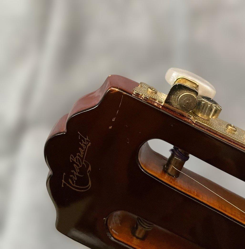 Terra Brasil Cavaquinho ピックアップ内蔵カヴァキーニョ