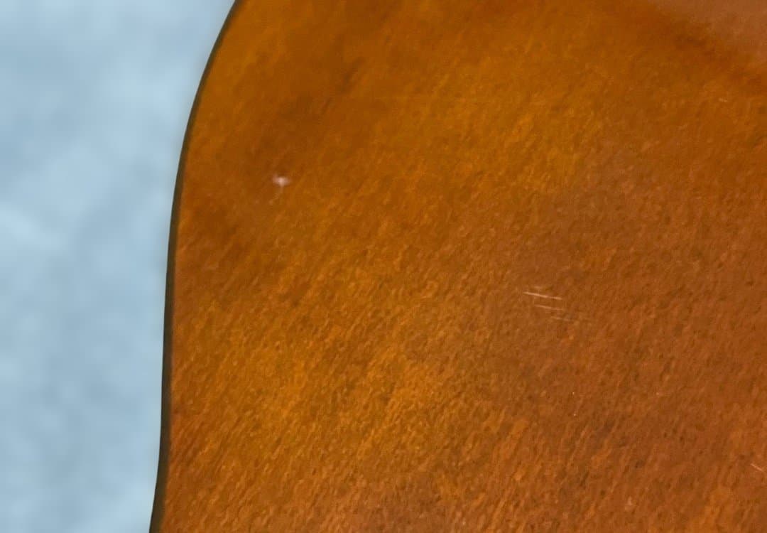 Terra Brasil Cavaquinho ピックアップ内蔵カヴァキーニョ