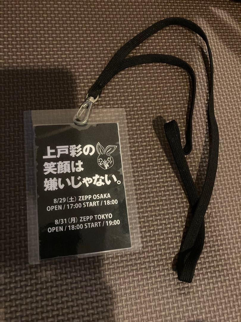非売品　上戸彩さんライブ　イベントアクセスパス