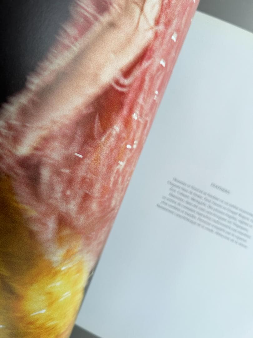 希少本 DRIES VAN NOTEN : INSPIRATIONS マルジェラ