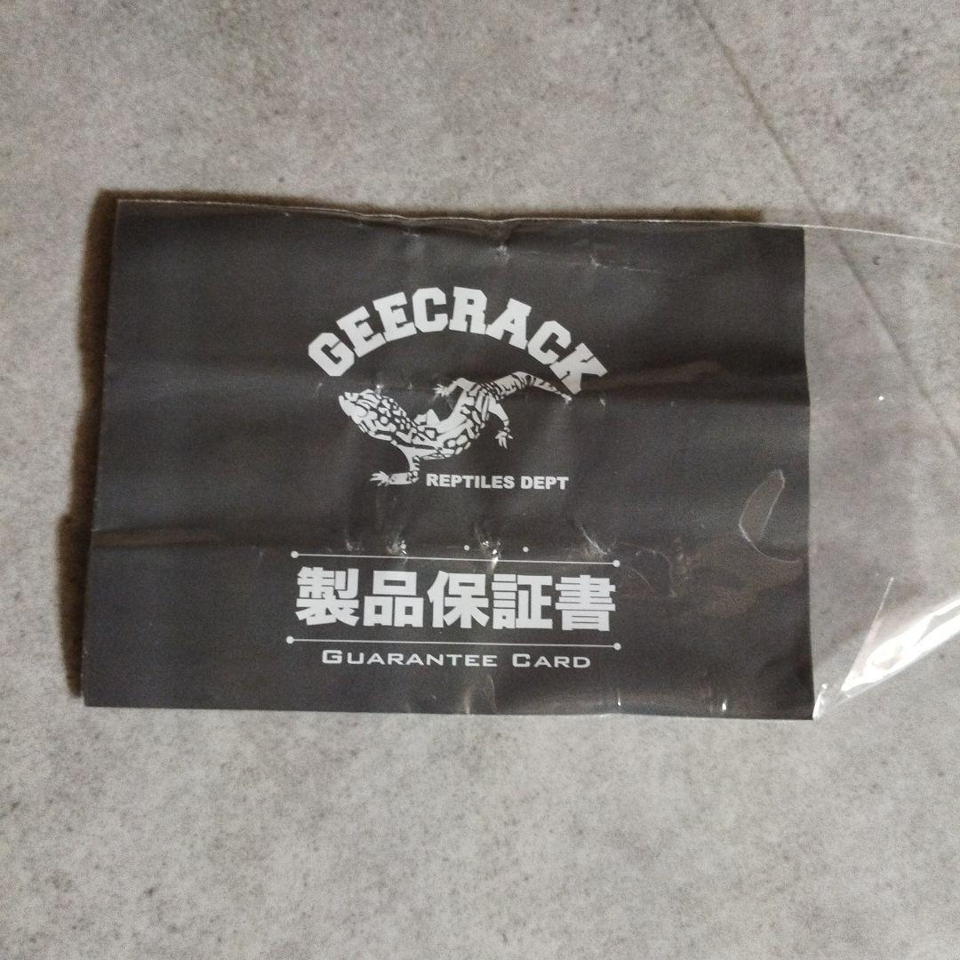 【美品】泥棒竿　スパイダー　DORO-B610SUL　ピンク