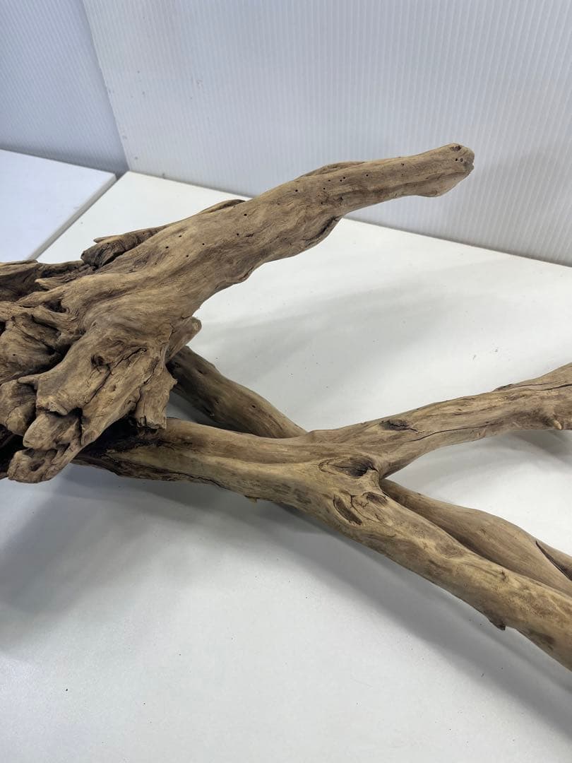 V24特大流木 アク抜き済み流木 爬虫類シェルター 登り木 インテリア 生け花
