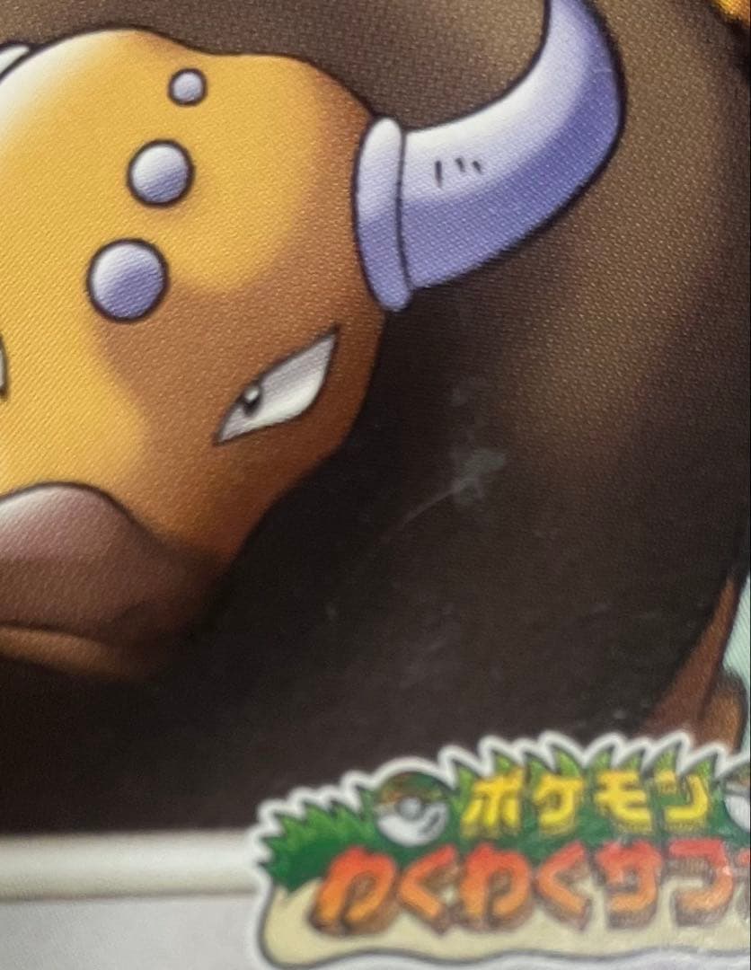 ポケパーク2005 限定ポケモンカード23枚セットプレミアムファイルブルーシート