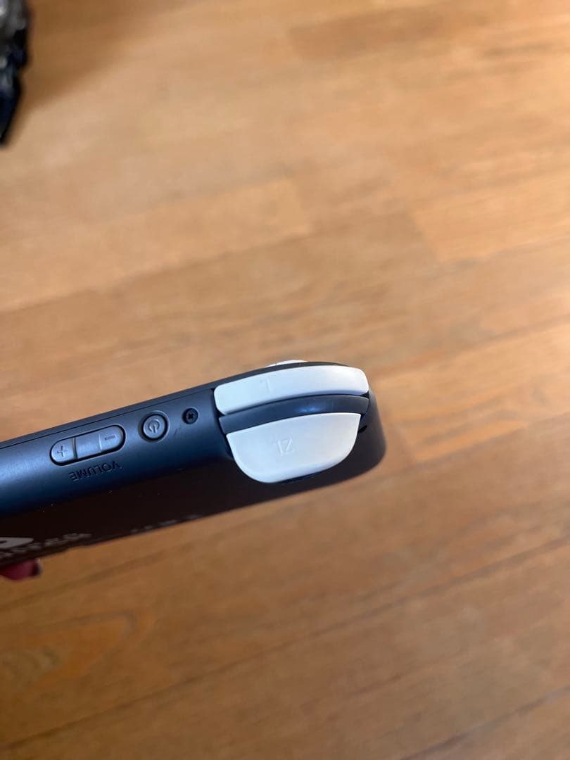 ニンテンドースイッチライト　グレー　あつまれどうぶつの森