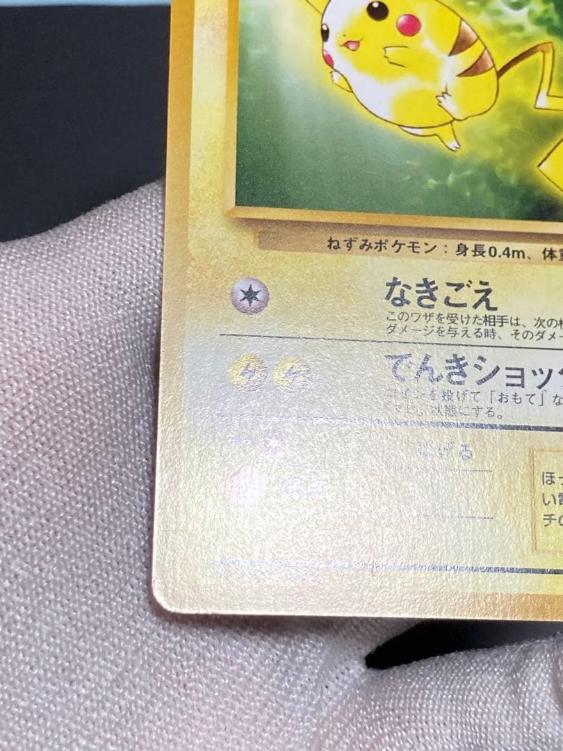 ピカチュウ 旧裏面 pmcg イントロパック 40 フシギダネマーク