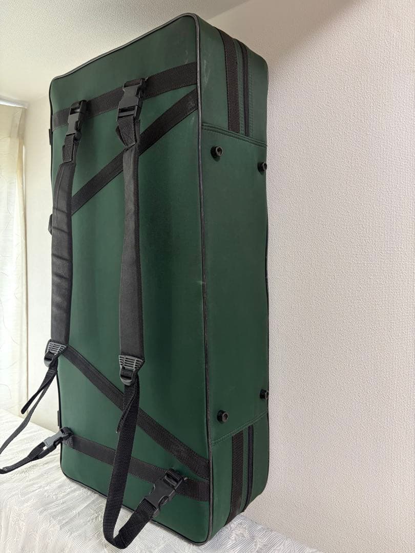 BAM ダブルケース　バイオリン　ビオラ　グリーン