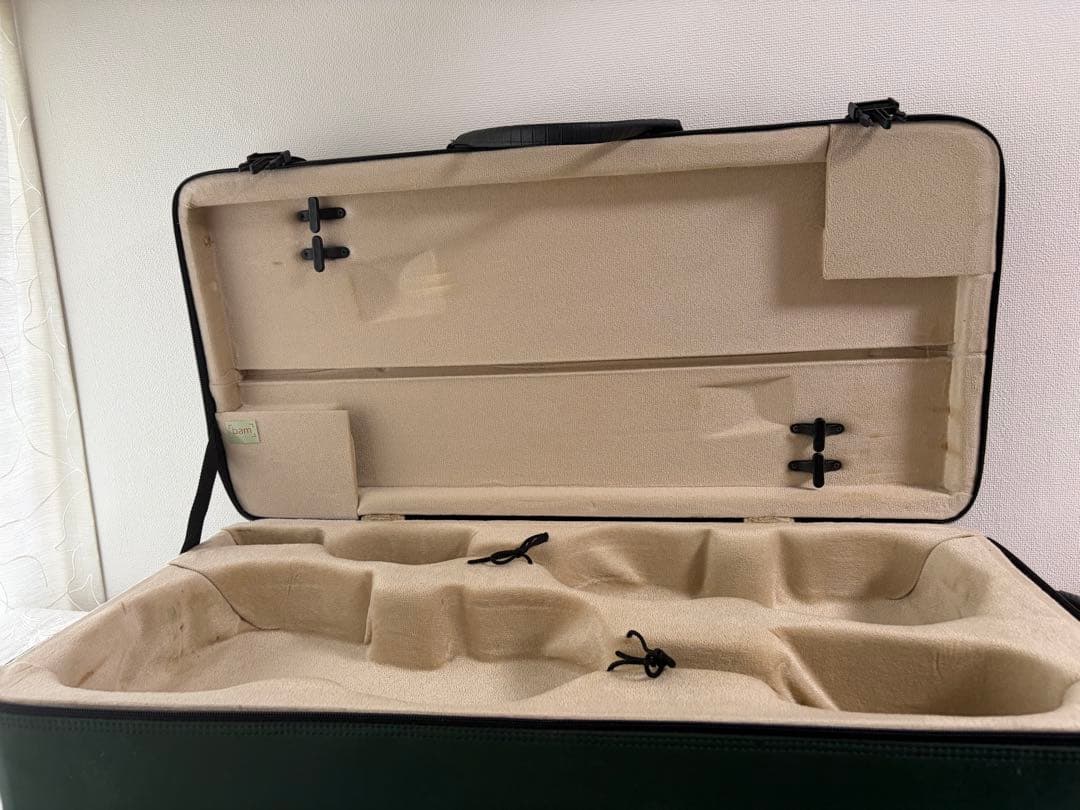 BAM ダブルケース　バイオリン　ビオラ　グリーン