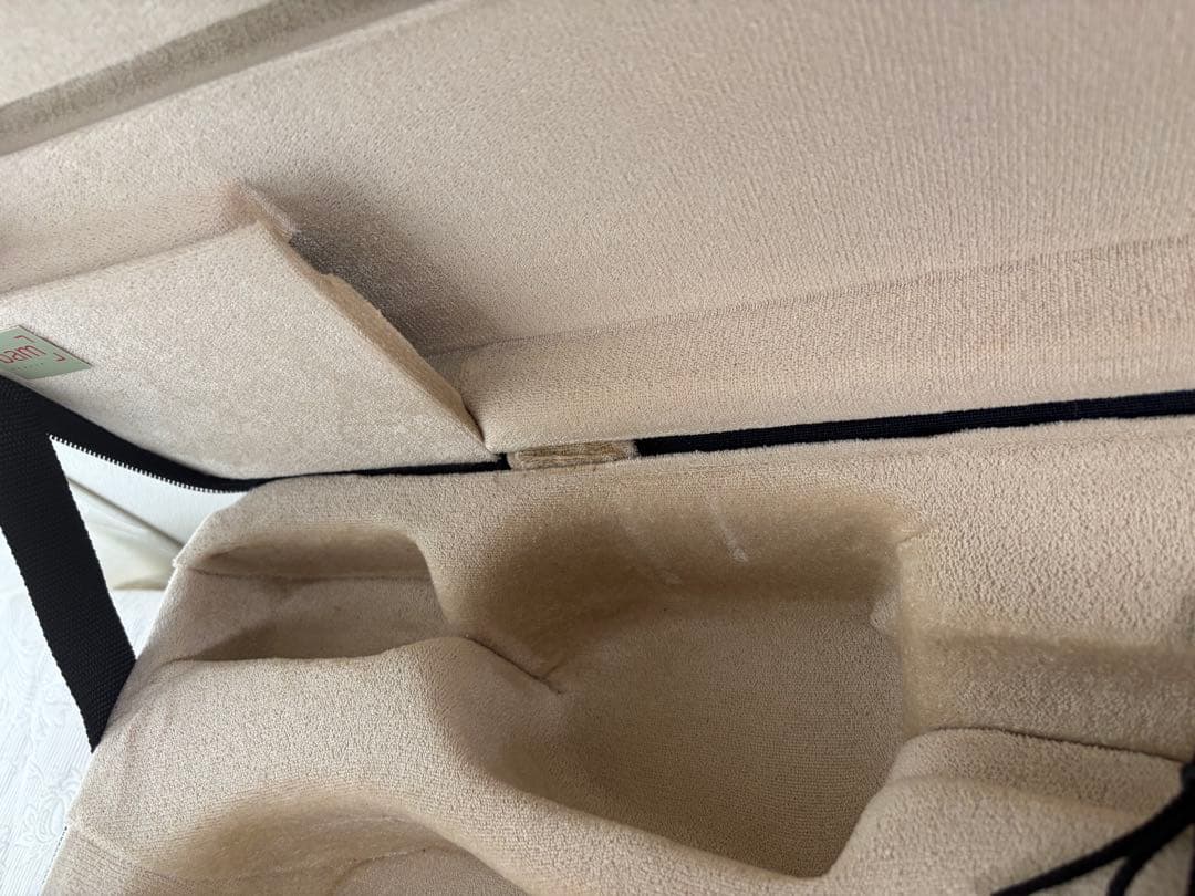 BAM ダブルケース　バイオリン　ビオラ　グリーン