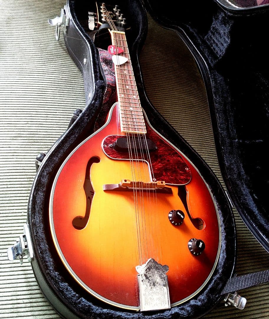 MOUNTEREY エレキマンドリン MME-203