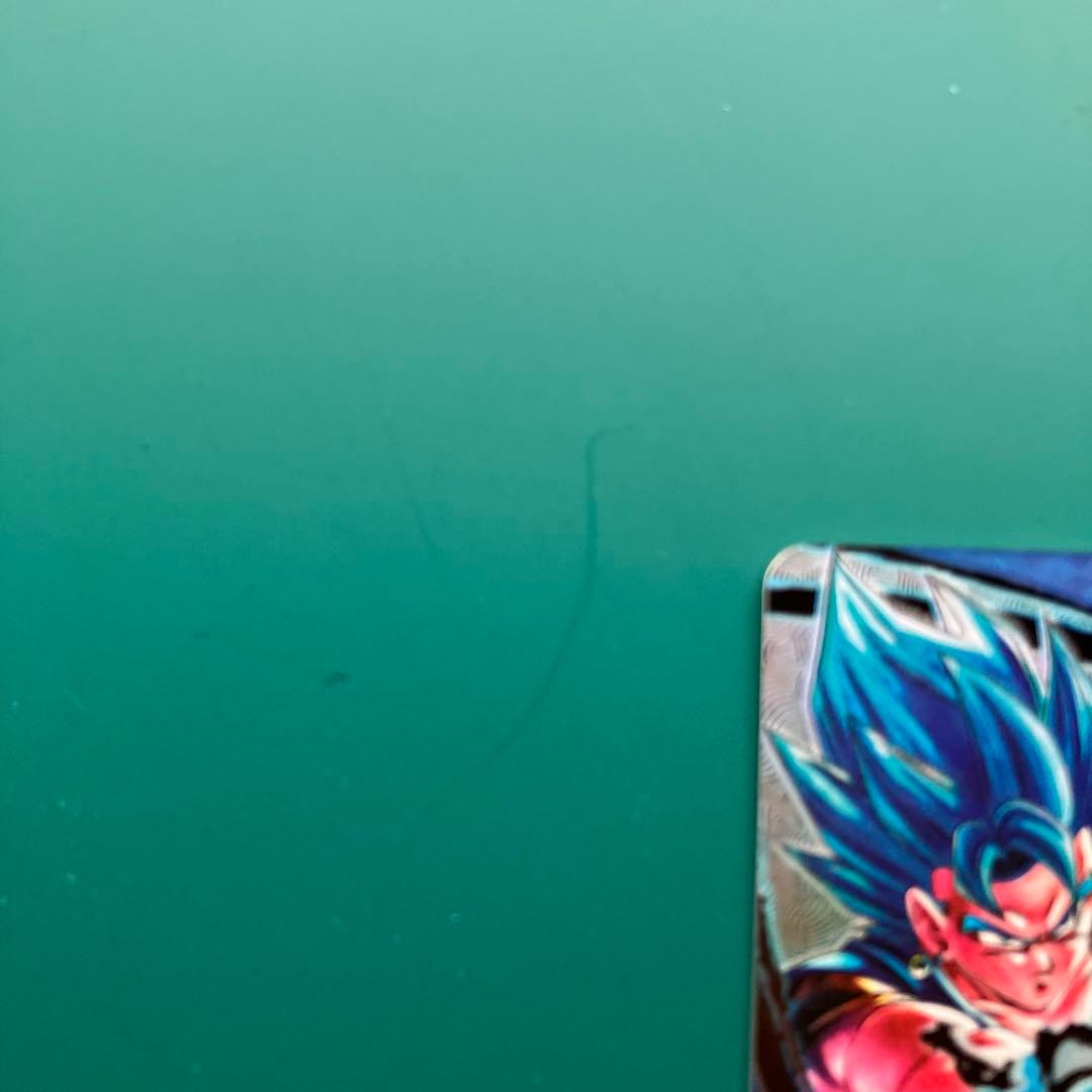 sdv7ーSECベジットパラレル