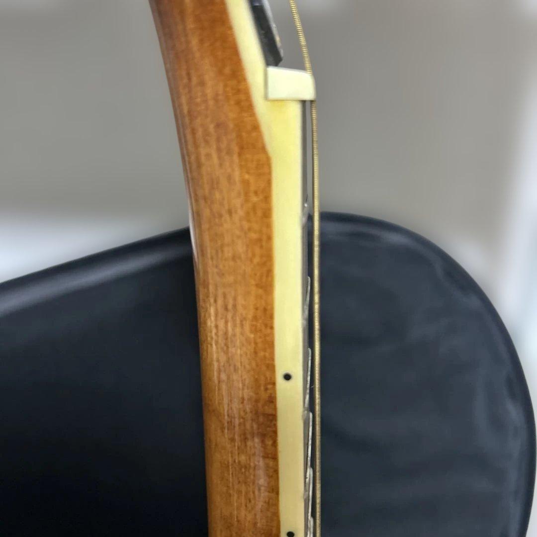 Rally ラリー マンドリン セミハードケース付き