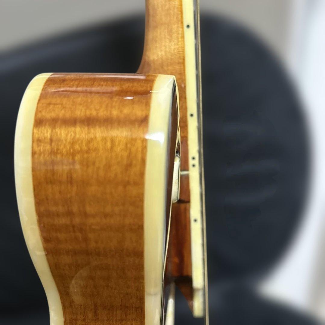 Rally ラリー マンドリン セミハードケース付き