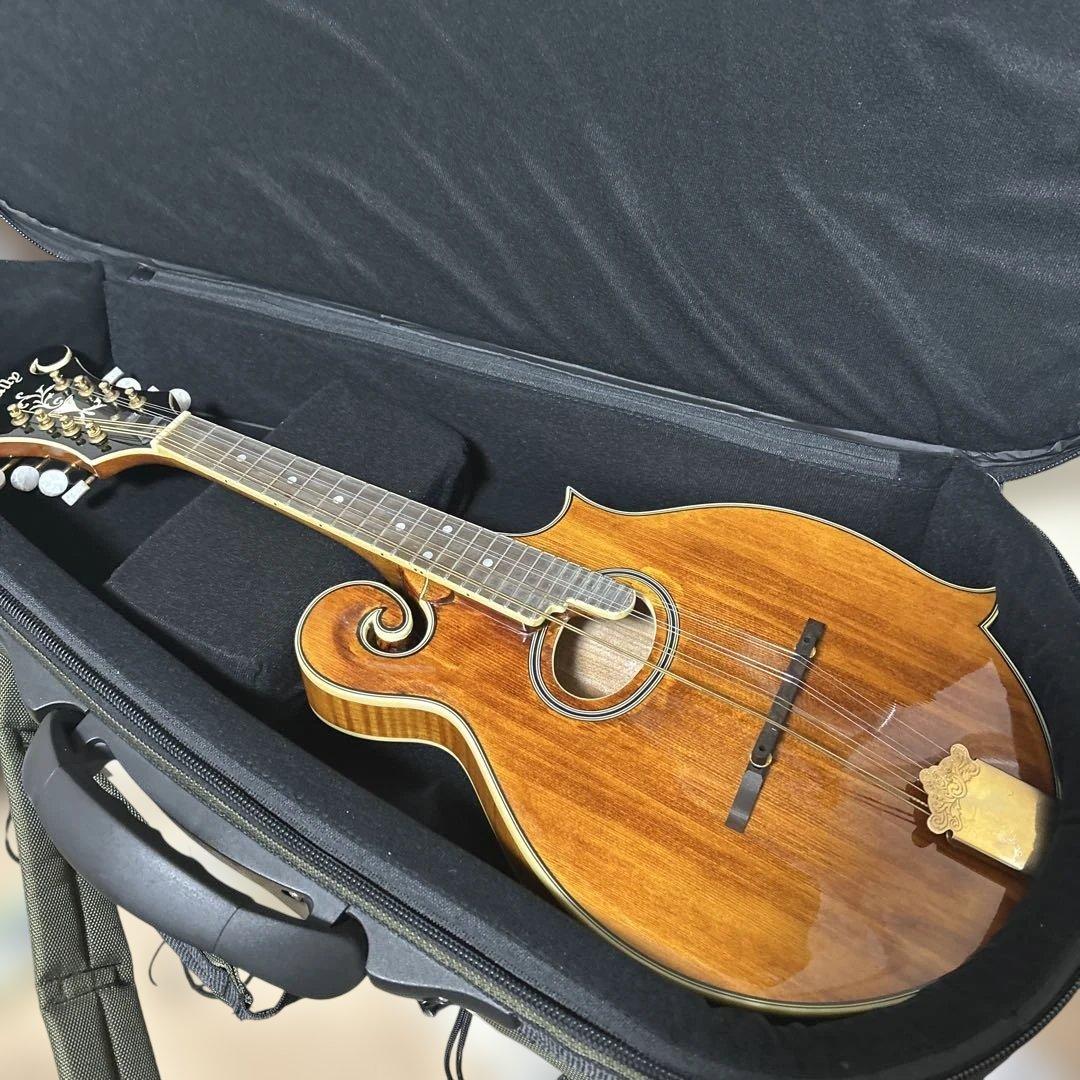 Rally ラリー マンドリン セミハードケース付き