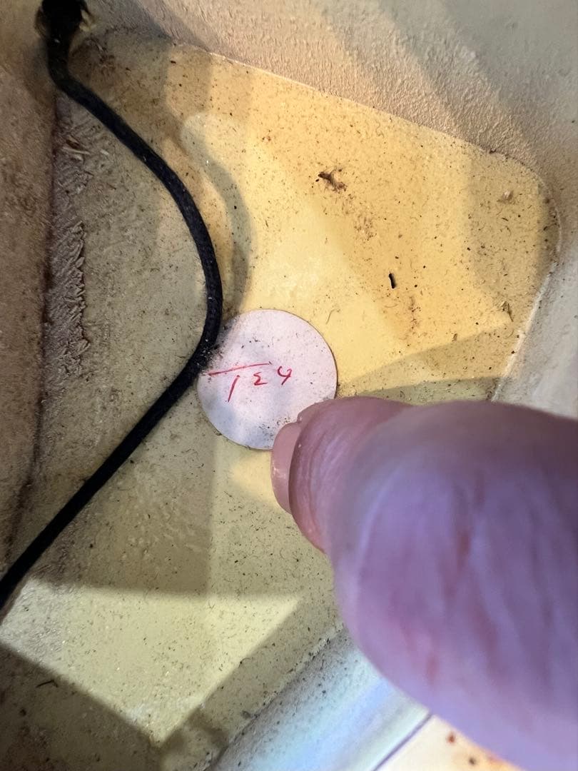 Fender USA American Vintage 57 ストラトキャスター